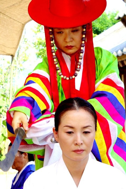 The Land Fotoğrafı