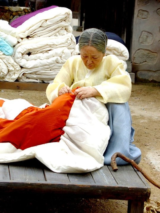 The Land Fotoğrafı