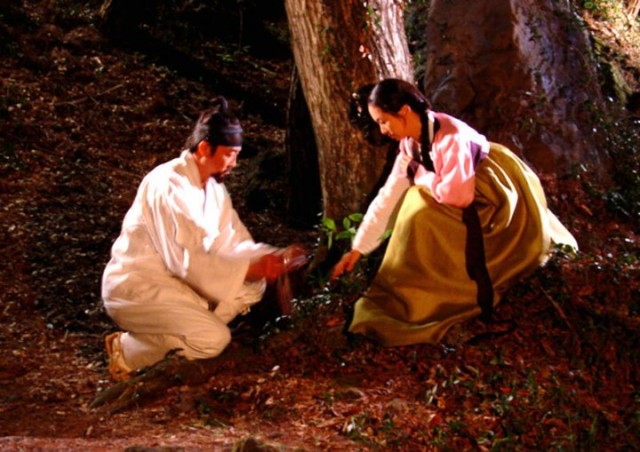 The Land Fotoğrafı