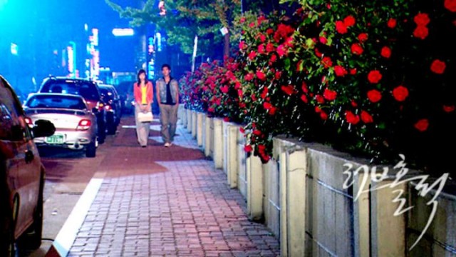 Loveholic Fotoğrafı