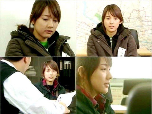 Three Leaf Clover Fotoğrafı