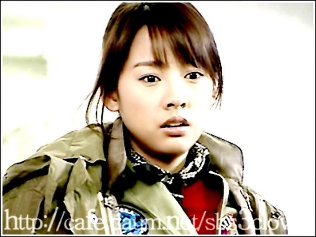 Three Leaf Clover Fotoğrafı