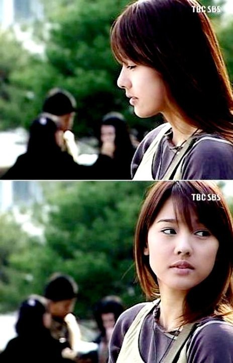 Three Leaf Clover Fotoğrafı