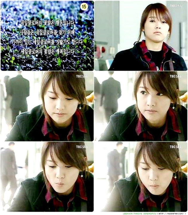 Three Leaf Clover Fotoğrafı