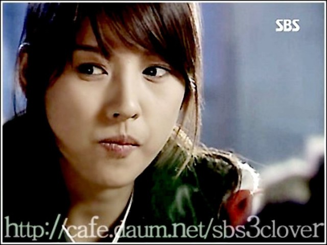 Three Leaf Clover Fotoğrafı