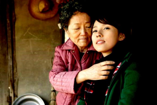 Three Leaf Clover Fotoğrafı