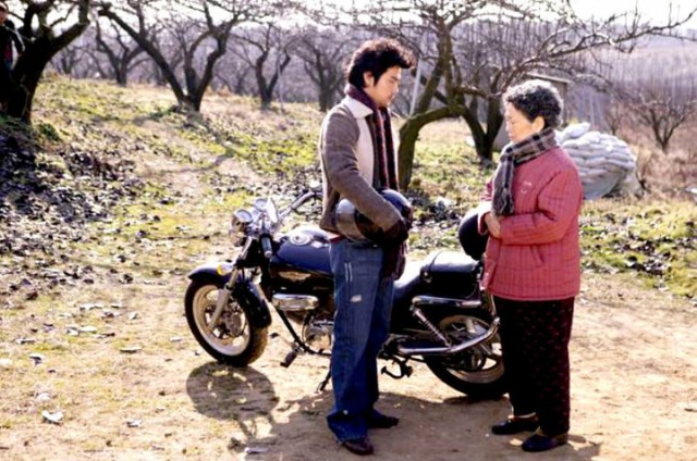 Three Leaf Clover Fotoğrafı