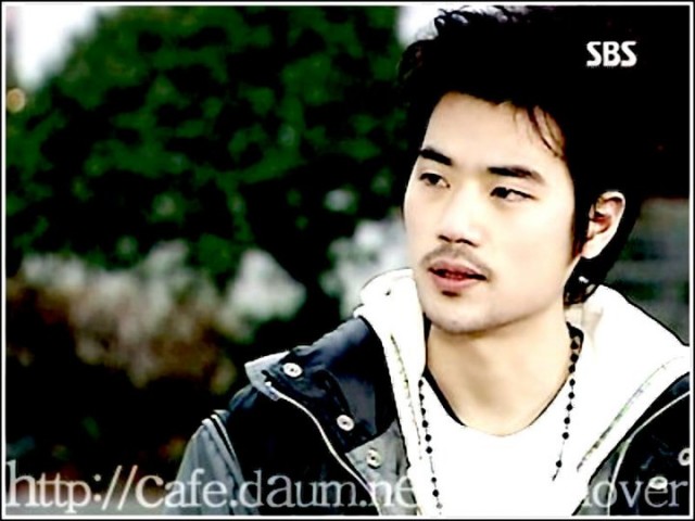 Three Leaf Clover Fotoğrafı