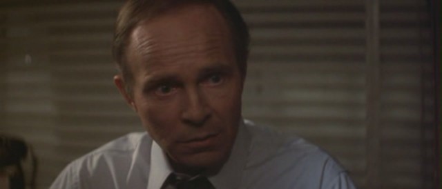 Mavi Kadife Fotoğrafı