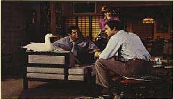 The Million Dollar Duck fotoğrafı