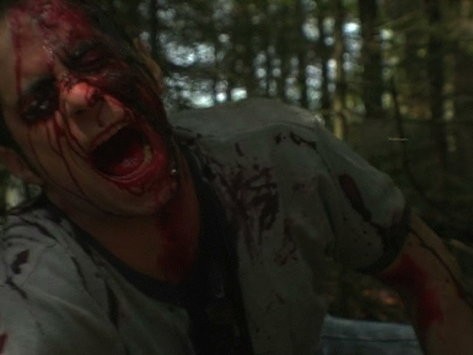 Dead By Dawn Fotoğrafı