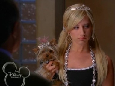 High School Musical 2 Fotoğrafı