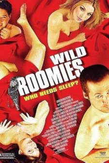 Çılgın Arkadaşlar (2004) afişi