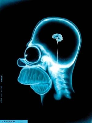 Simpsonlar Fotoğrafı