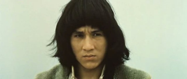 Shaolin'in Yılan Ve Turna Tekniği Fotoğrafı