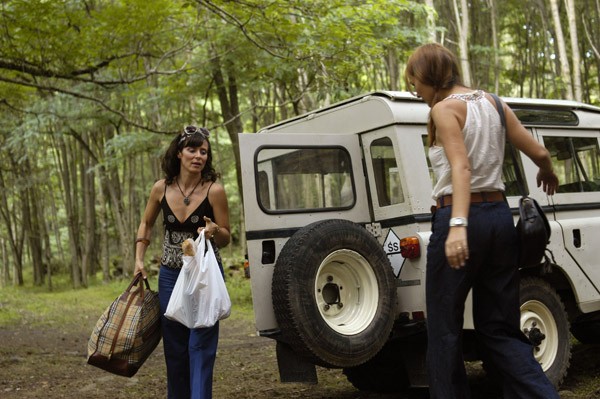Gölgeler Ormanı Fotoğrafı