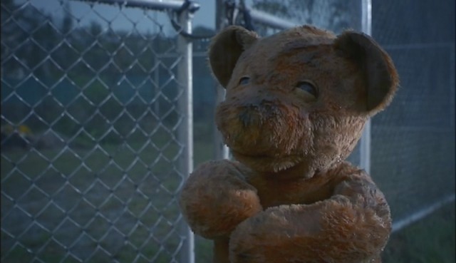 Citizen Dog Fotoğrafı