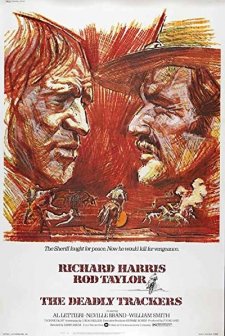 intikam Yolları (1973) afişi