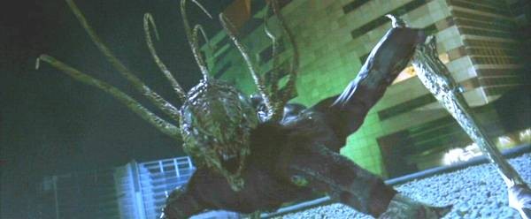 Kara Maske 2 Fotoğrafı