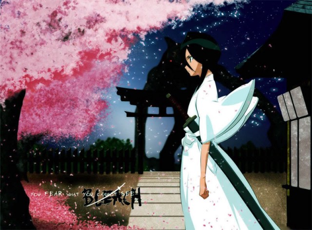 Bleach :fade To Black ı Call Your Name fotoğrafı