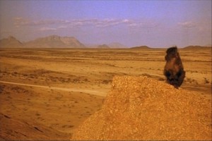 Toz Şeytanı fotoğrafı