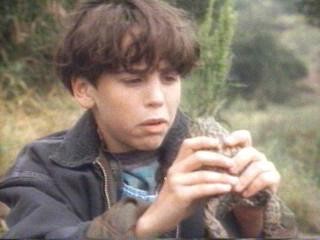 Huck And The King Of Hearts Fotoğrafı