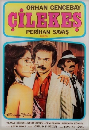 Çilekeş (1978) afişi