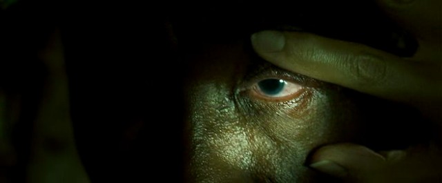 Hasat Zamanı Fotoğrafı