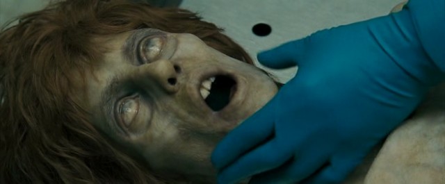 Hasat Zamanı Fotoğrafı