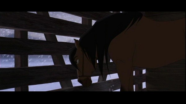 Özgür Ruh Fotoğrafı