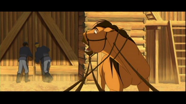 Özgür Ruh Fotoğrafı