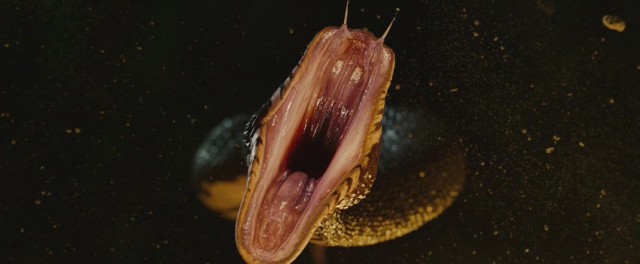 Pers Prensi: Zamanın Kumları Fotoğrafı