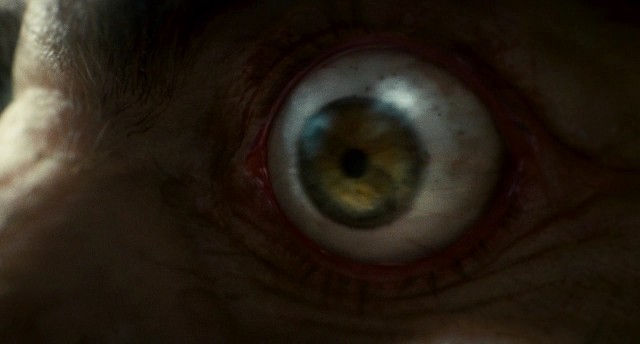 Kurt Adam Fotoğrafı