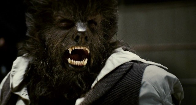 Kurt Adam Fotoğrafı