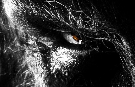 Kurt Adam Fotoğrafı