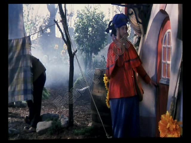 De Kabouterschat Fotoğrafı