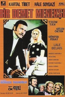 Bir Demet Menekşe (1973) afişi