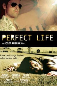 Perfect Life (2010) afişi