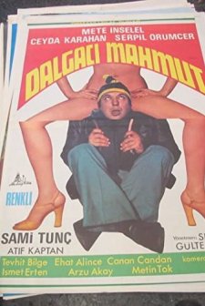 Dalgacı Mahmut (1976) afişi