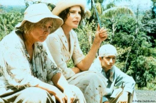 The Son Of Français Fotoğrafı