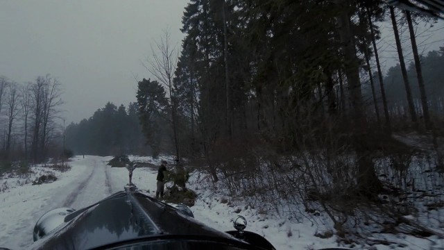 Zoraki Kral Fotoğrafı