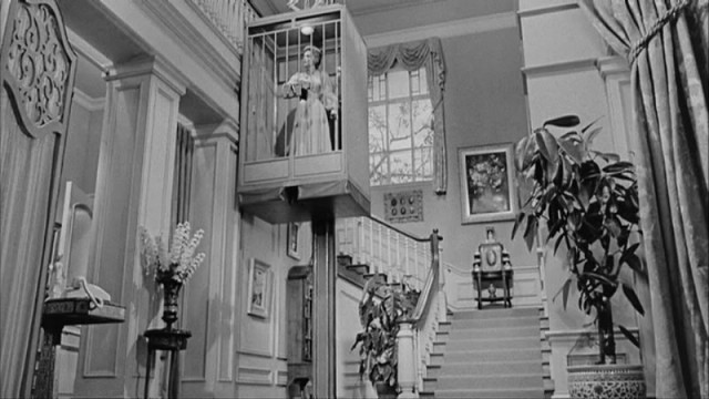 Lady In A Cage Fotoğrafı