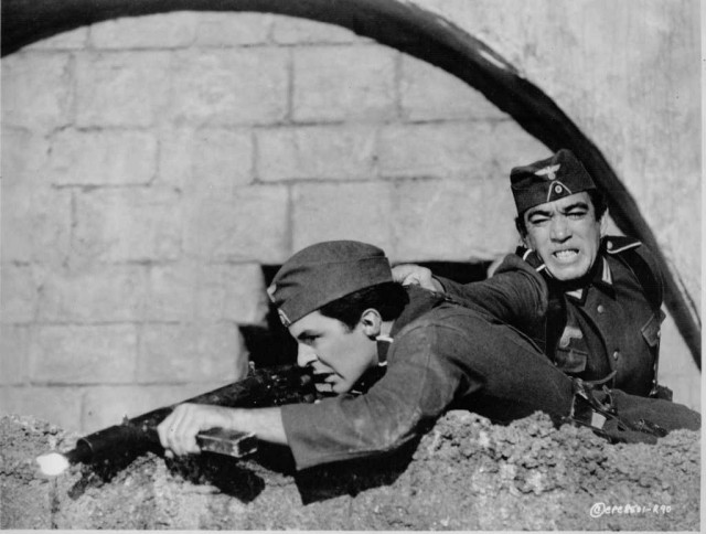 Navaron'un Topları Fotoğrafı