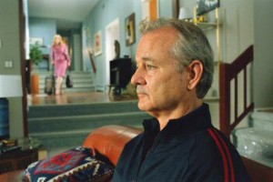 Kırık Çiçekler Fotoğrafı