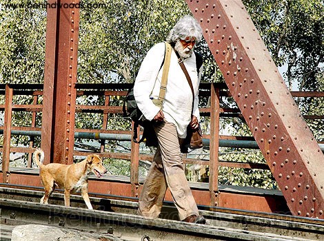 Shoe Bite Fotoğrafı