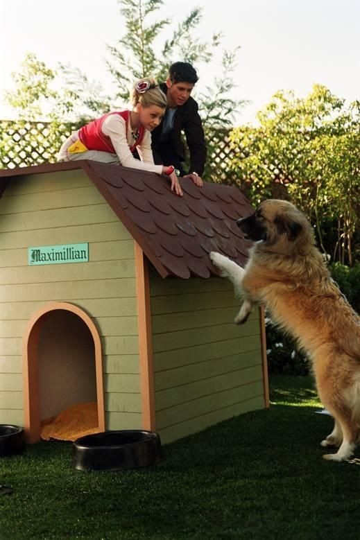 Phil Zaman Yolculuğunda Fotoğrafı