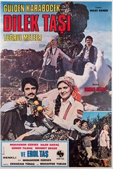 Dilek Taşı (1978) afişi