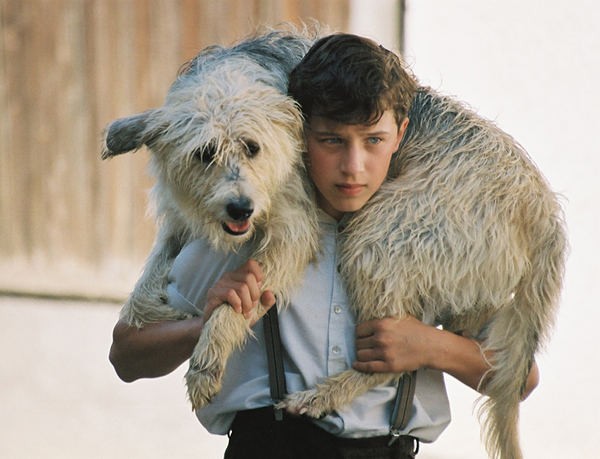 Toni Goldwascher Fotoğrafı