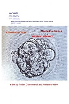 Morula (1994) afişi