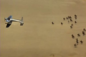 Anka´nın Uyanışı fotoğrafı